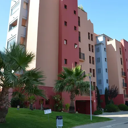Palmeras Solmares