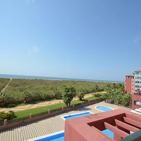 Palmeras Solmares *